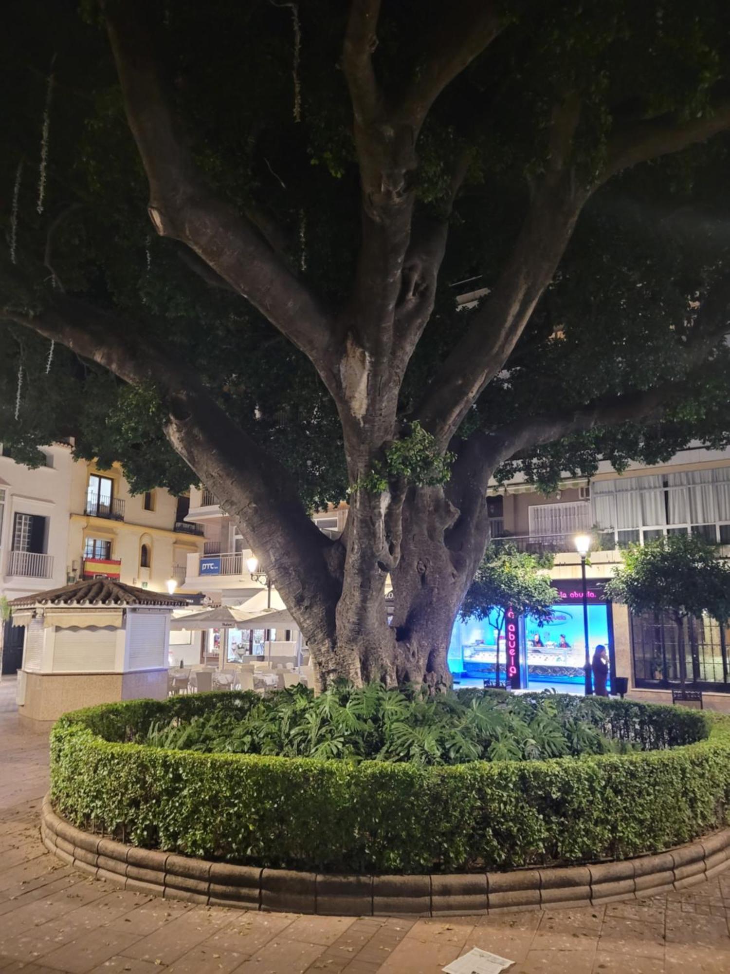 Fuengirola Center Sweet&Beach Esterno foto